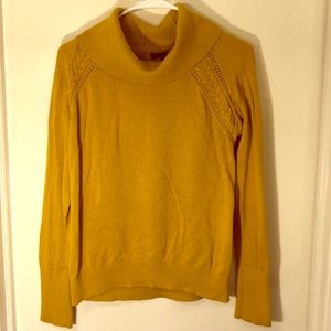 Banana Republic Factory Turtleneck Sweater